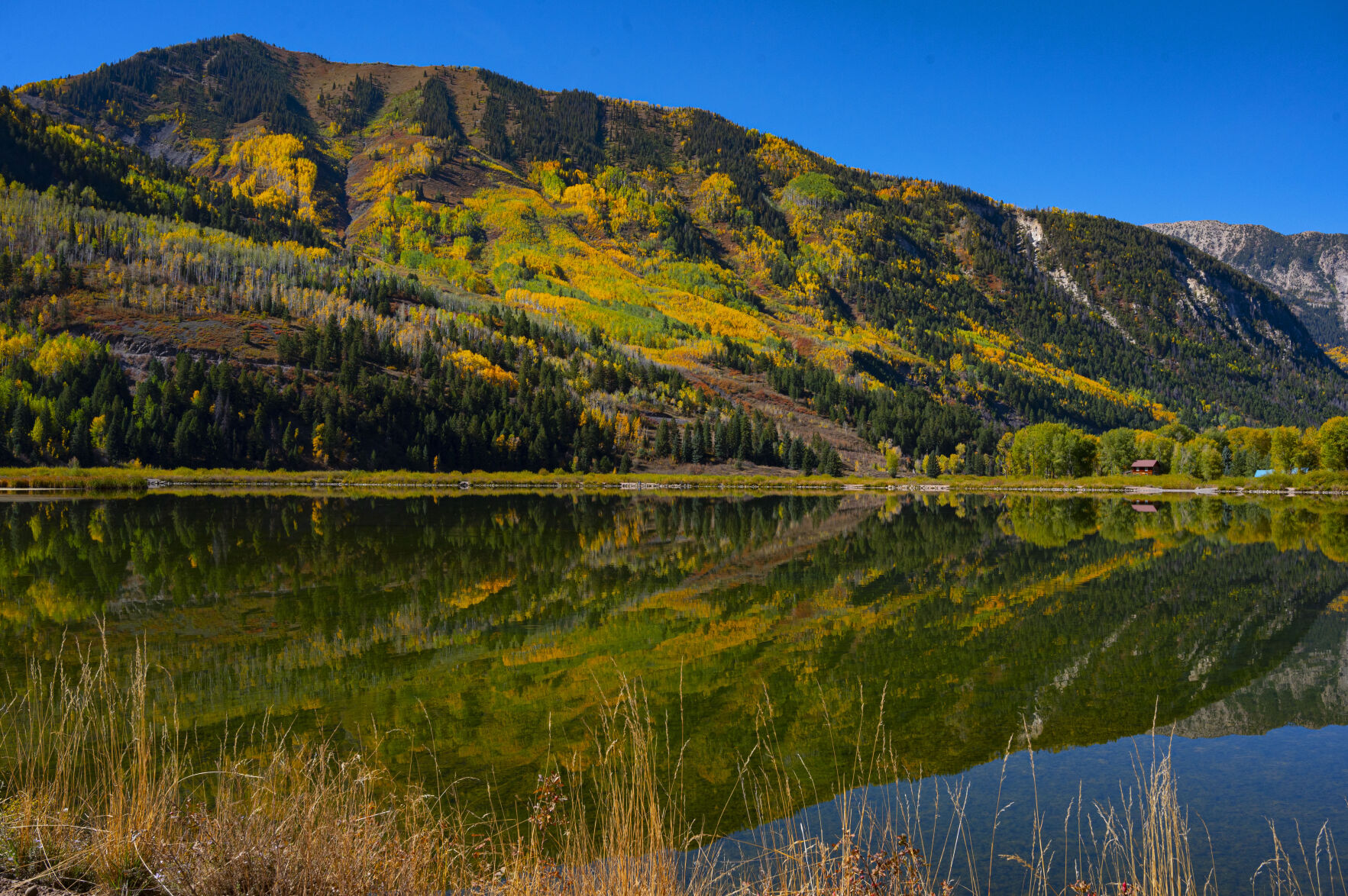 09_29_20 aspens0194.jpg